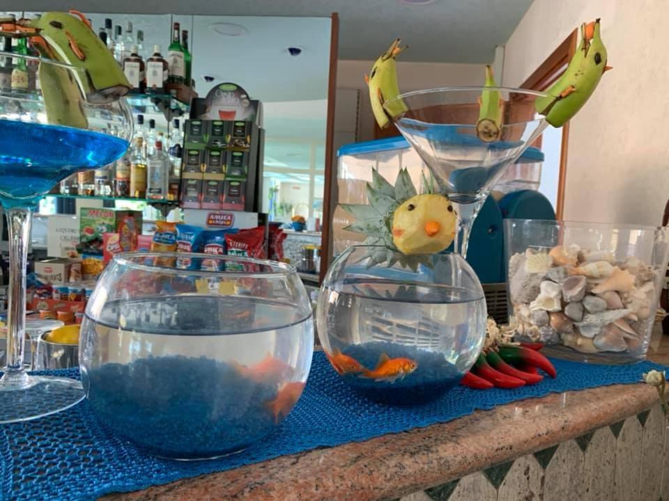 Hotel San Gaetano Grisolia Kültér fotó